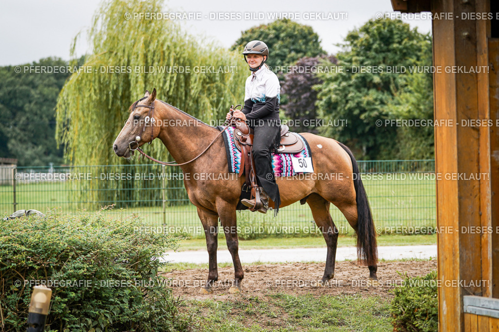 DSC04112 | Pferdegrafie