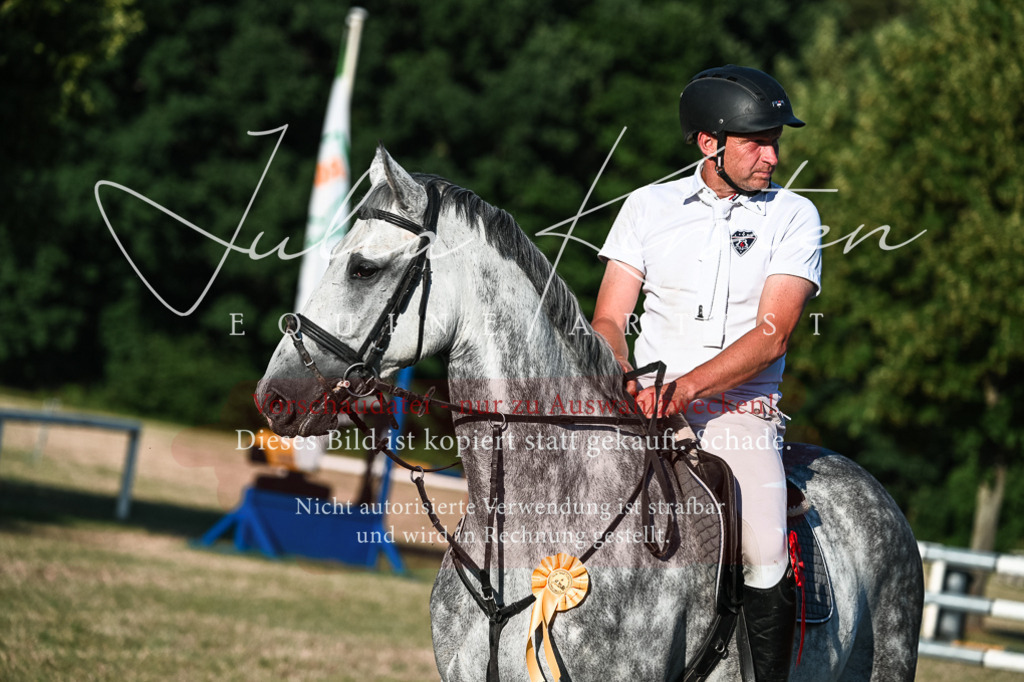 DSC_3197 | Pferde- und Turnierfotografie in Westsachsen. Pferdeportraits, Auftragszeichnungen und intuitive Kunst.