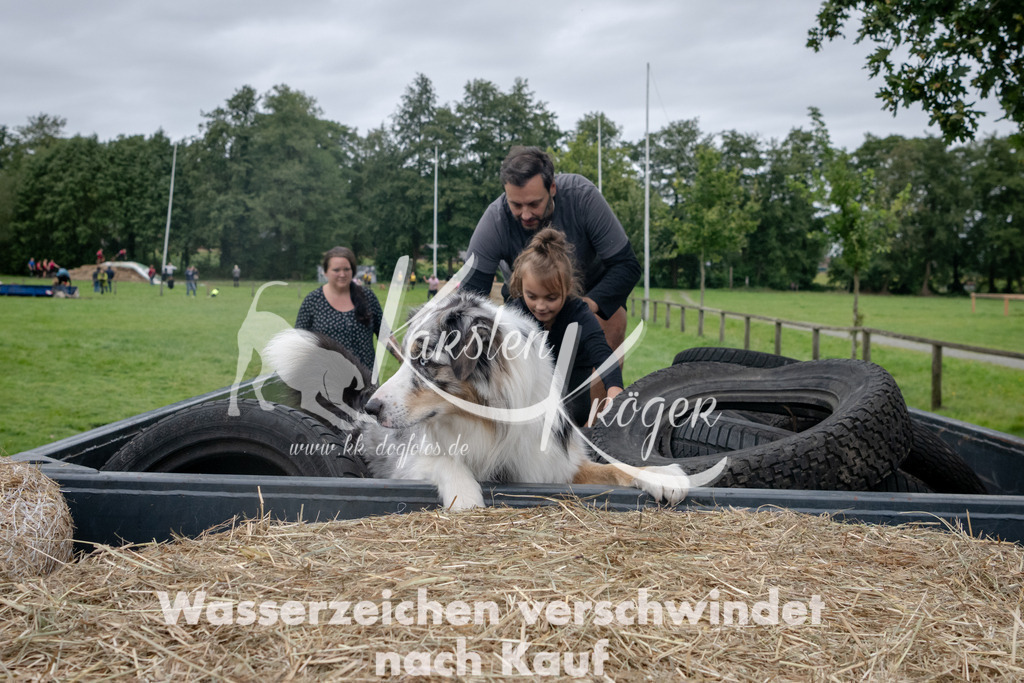 1300_ZZ92933 | kk-dogfotos