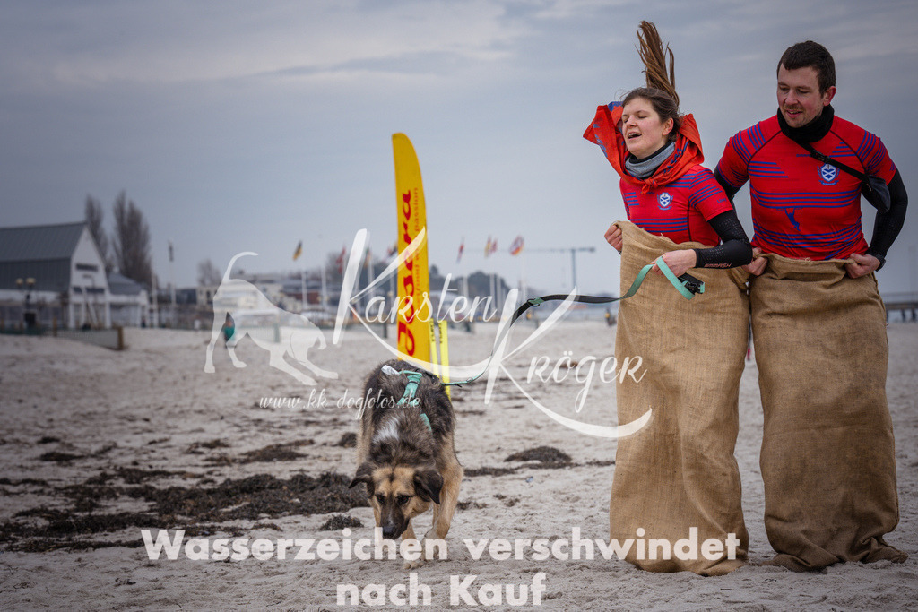 1225_ZZ94116 | kk-dogfotos