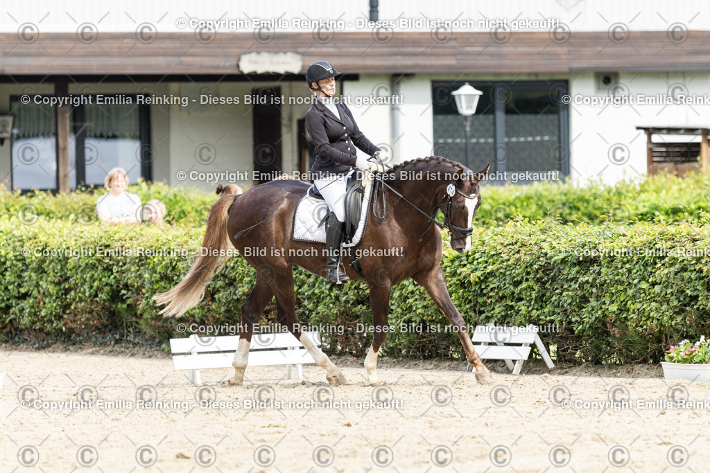 CL5A6504-2 | Emilia Reinking Fotografie - Realisiert mit Pictrs.com