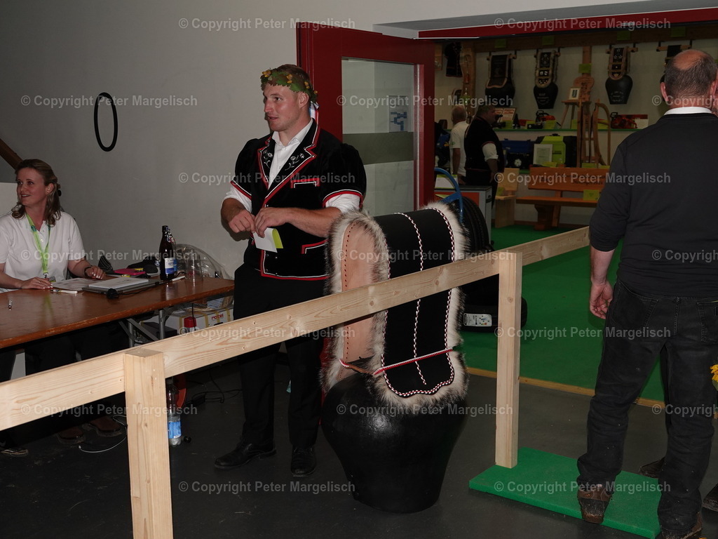 DSC08145 | Schwingen - Realisiert mit Pictrs.com