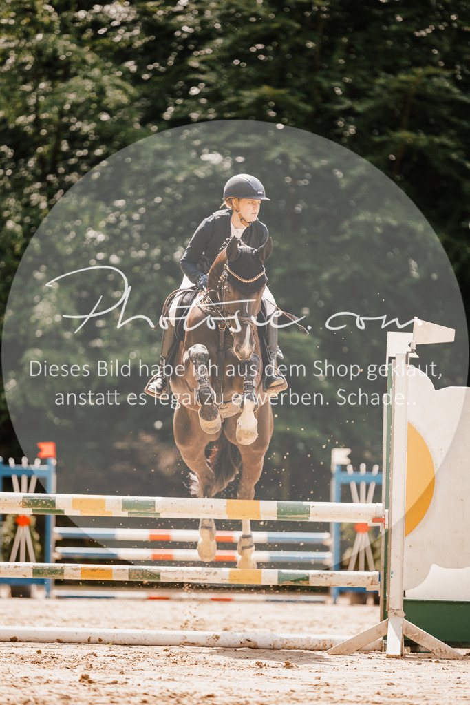 3I6A2333 | Stimmungsvolle Portraits und Reitsportfotografie im Ruhrgebiet und im Münsterland.

Pferdefotografie, Hundefotografie, Tierfotografie, Reportagen, Portraits von Tier und Mensch, Turnierfotografie in Bochum, Recklinghausen, Marl, Haltern am See, Dülmen.. - Realisiert mit Pictrs.com