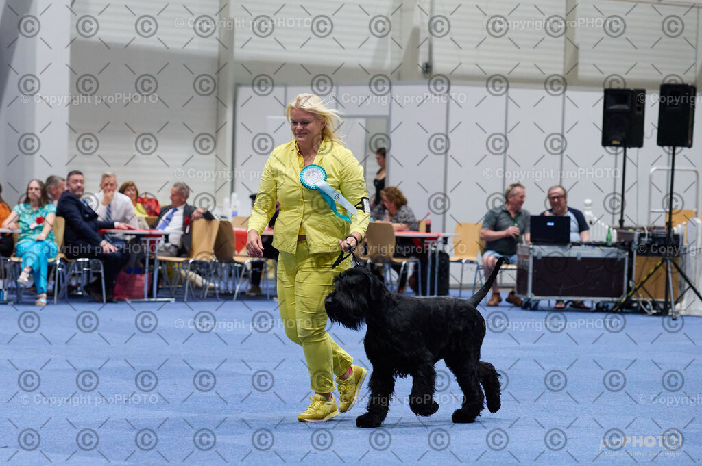 202406_ÖKV-IHA-Tulln24_DSC_2919 | proPHOTO - Realisiert mit Pictrs.com