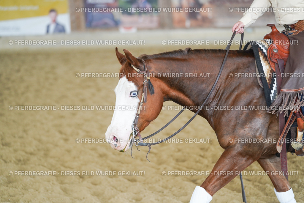 DSC06289 | Pferdegrafie