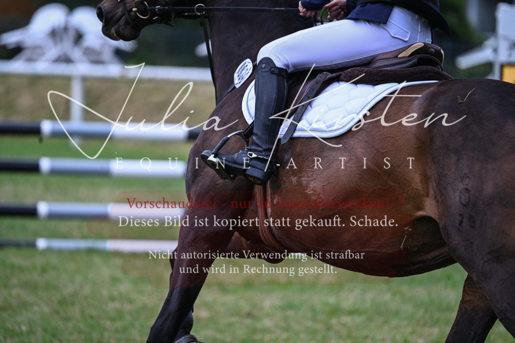 DSC_8558 | Pferde- und Turnierfotografie in Westsachsen. Pferdeportraits, Auftragszeichnungen und intuitive Kunst.