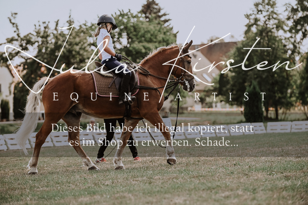 DSC_7800 | Pferde- und Turnierfotografie in Westsachsen. Pferdeportraits, Auftragszeichnungen und intuitive Kunst.