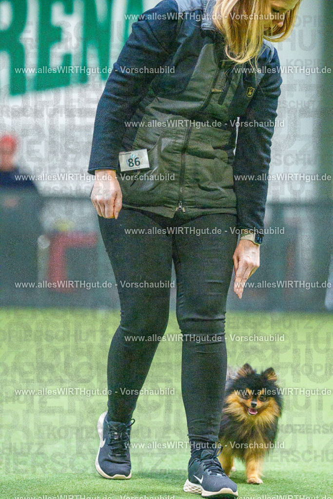 7R503513 | Professionelle Tierfotografie in Mönchengladbach von Daniel Wirth (allesWIRTHgut). Liebevolle & natürliche Bilder von Hunden & Katzen für unvergessliche Erinnerungen.