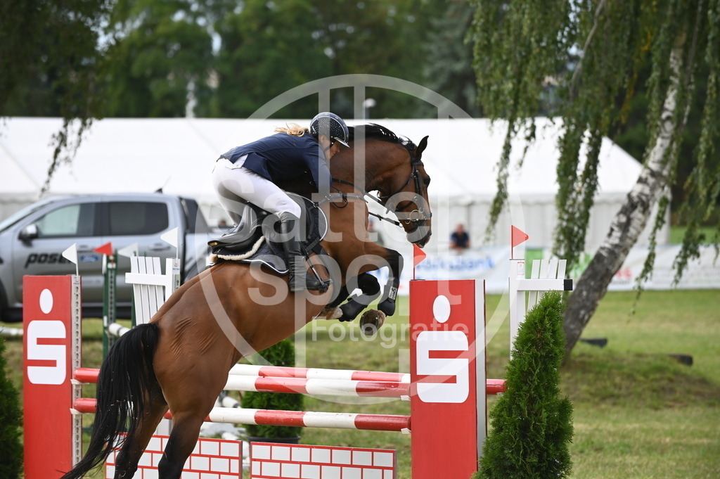 DSC_3348 | sattelsport - Realisiert mit Pictrs.com