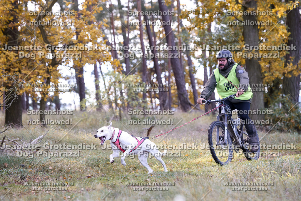 Dog Paparazzi - Elsholz 25 -141 | Dog Paparazzi Jeanette Grottendiek Fotografie & Videografie - Realisiert mit Pictrs.com
