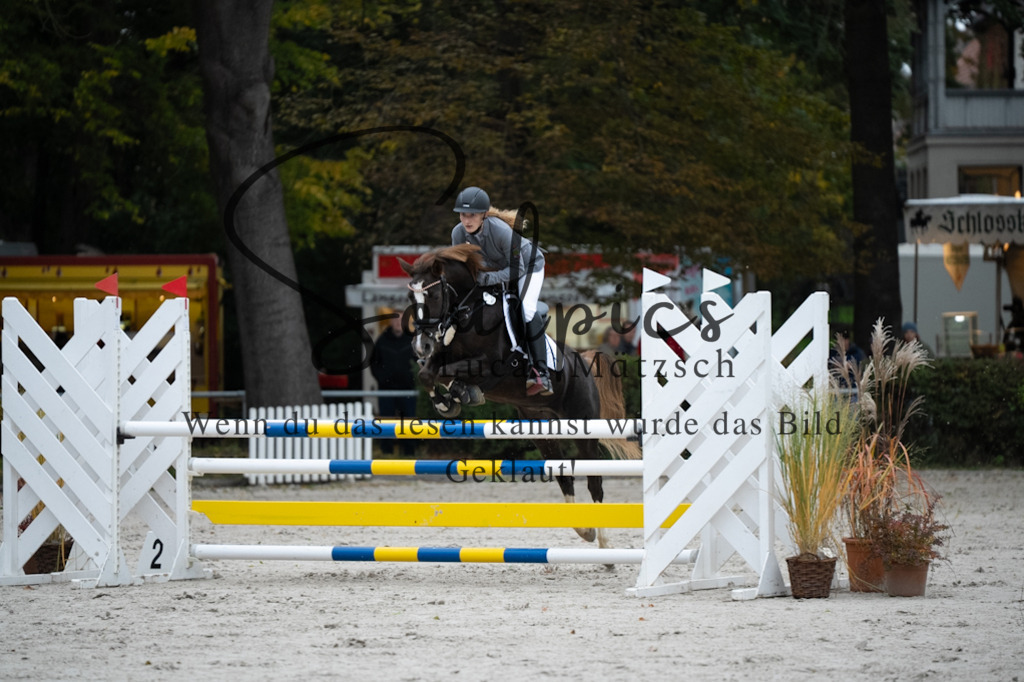 A7V08597 | Turnier/Reitfotograf