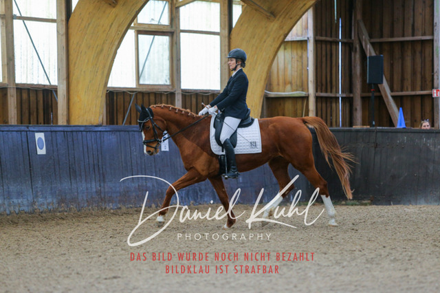 IMG_0268 | Turniersportfotografie; Pferdefotografie; Dressurfotografie