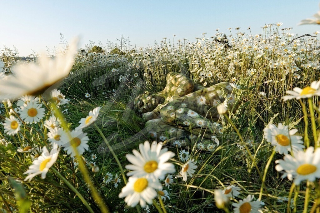 NatureArt-MARGERITEN_7583 | Schlaf zwischen den Margeriten | #001 | Modell: Sarah | Foto: Alexander Große-Strangmann - Realisiert mit Pictrs.com