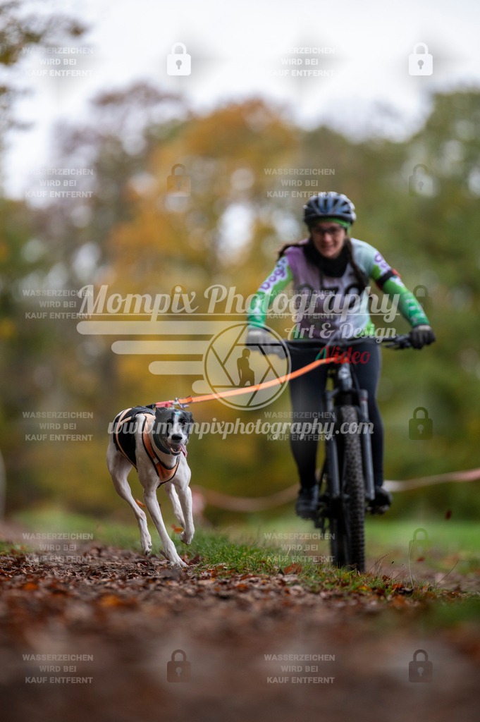 DBT_DAKM_SA_4_11_2023_Bike-63 | PayLife