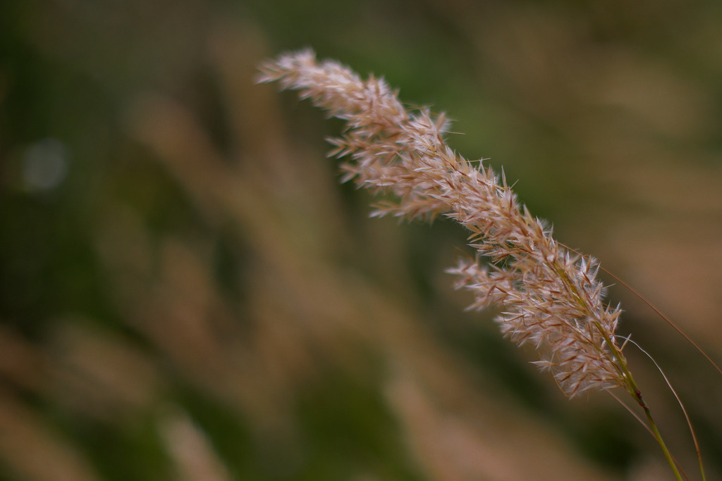 Moers_Stadtrundgang_070825_06 | Bildergalerie von Sport-Ereignissen aber auch von weiteren spannenden Dingen - nicht nur vom Niederrhein. In Anlehnung an den bekannten Spruch von Hanns Dieter Hüsch heißt das Motto: "Niederrhein ist überall".  - Realisiert mit Pictrs.com