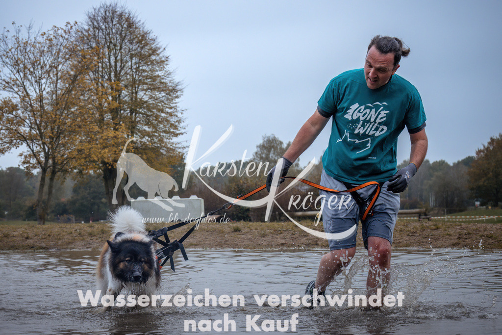 1303_ZZ92438 | kk-dogfotos