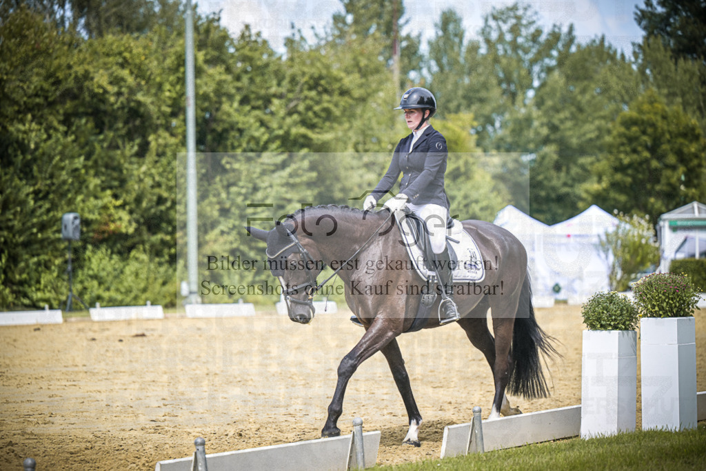 DOS_2743 | Entdecke hochwertige Reitturnierfotos von Foto Oger. Professionell, emotional und authentisch – jetzt Lieblingsmomente im Shop bestellen.Deutschlandweite Turnierfotografie. - Realisiert mit Pictrs.com