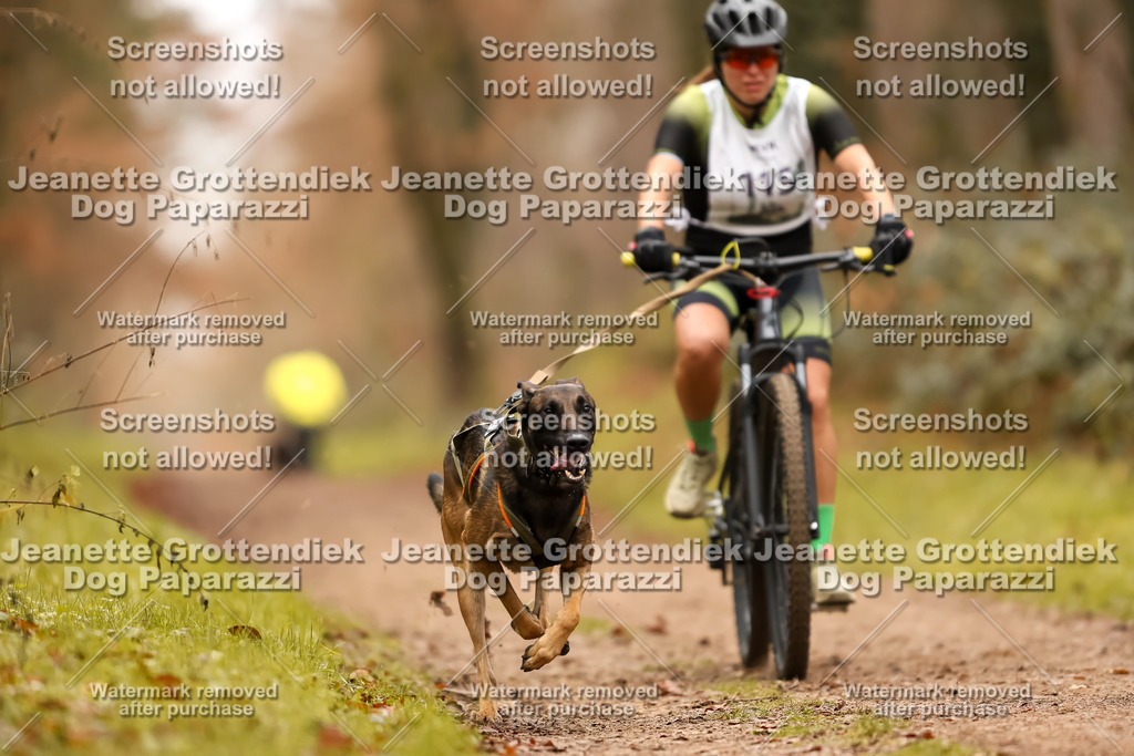 Dog Paparazzi - Speedhunter Mannheim  2025-316 | Dog Paparazzi Jeanette Grottendiek Fotografie & Videografie
