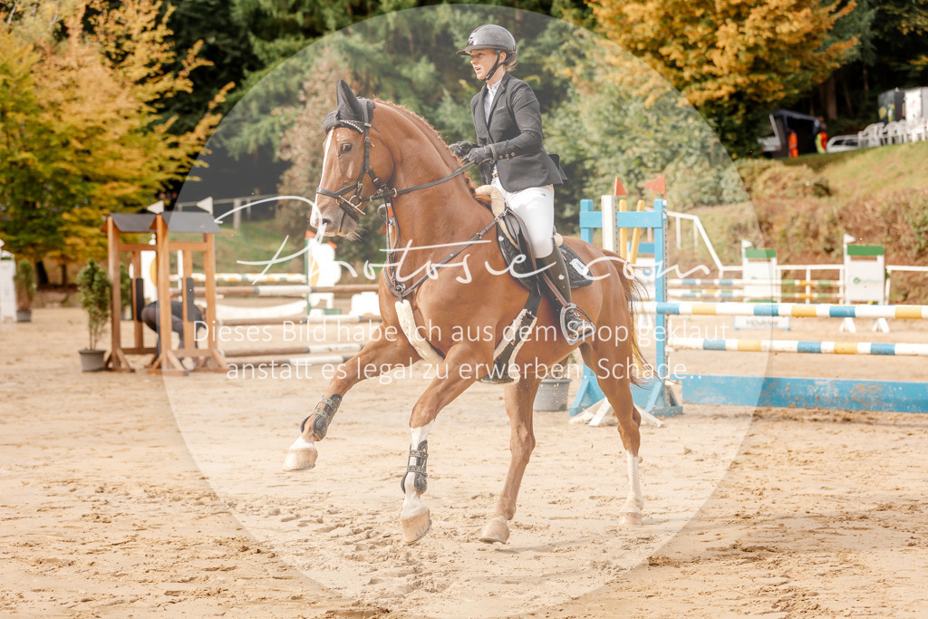 3I6A6545 | Stimmungsvolle Portraits und Reitsportfotografie im Ruhrgebiet und im Münsterland.

Pferdefotografie, Hundefotografie, Tierfotografie, Reportagen, Portraits von Tier und Mensch, Turnierfotografie in Bochum, Recklinghausen, Marl, Haltern am See, Dülmen.. - Realisiert mit Pictrs.com