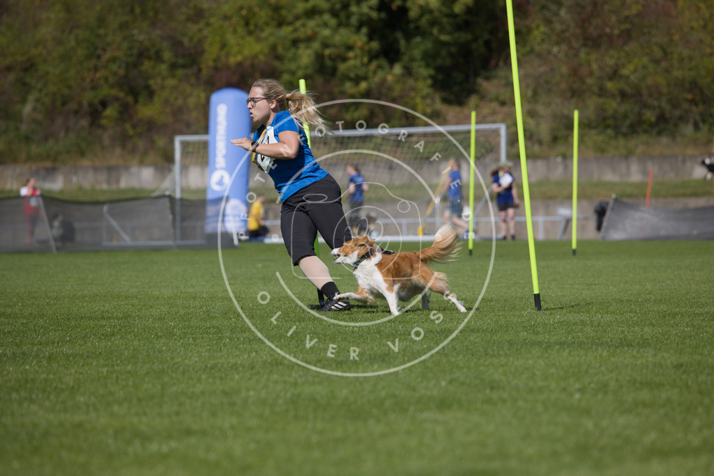 0L8A5842 | Hundefotografie, Tierfotograf, Pfotenfotografie, Fotoshooting Hund, Hunde Portrait, Hundesport, Hundeportraits, Heideshooting, Hunde, Sportfotograf, Hundefotograf, Turnierhundsport, THS,  - Realisiert mit Pictrs.com