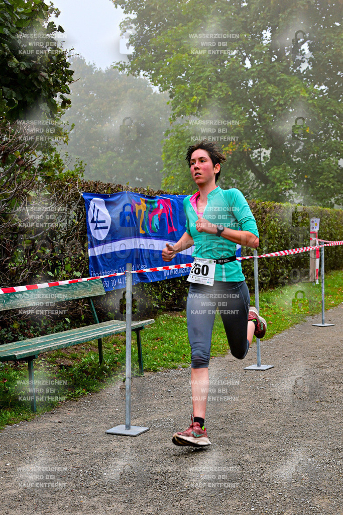 Z8N_1318 | la-psv - Realisiert mit Pictrs.com