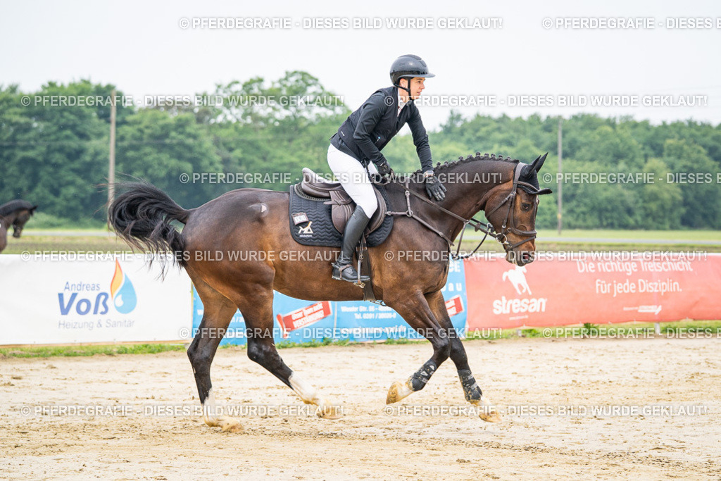 DSC09805 | Pferdegrafie