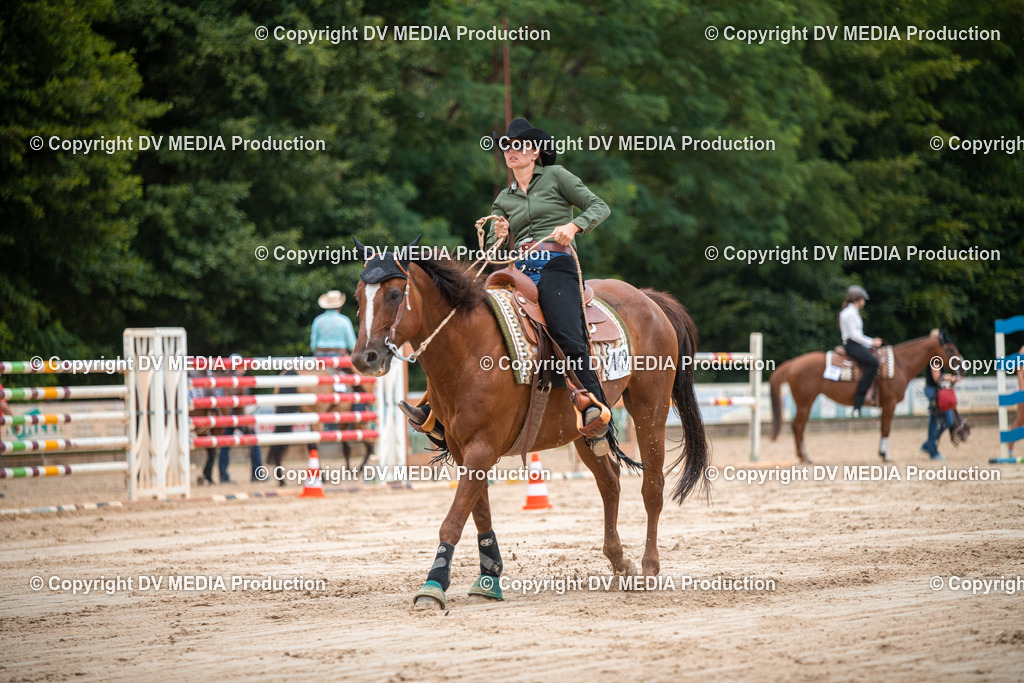 ZS2_8353 | dv-media-shop - Realisiert mit Pictrs.com