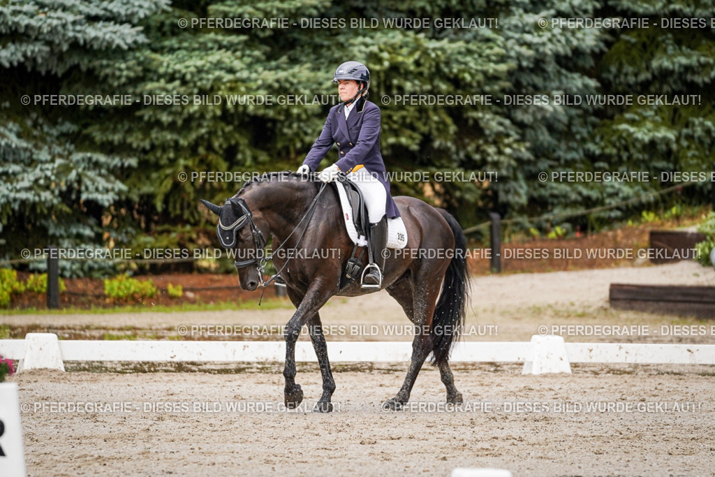 DSC09899 | Pferdegrafie