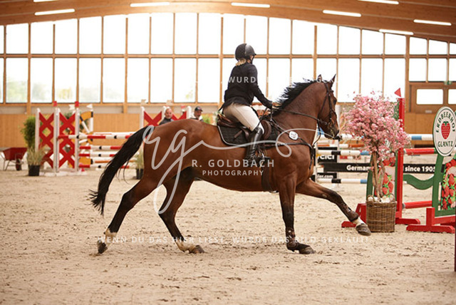 1J2A2342Louisa Schneider_ Vento 56_ Kn483_ Hohen Wieschendorf_ Glantz | Foto- und Videografie für alles rund ums Pferd. Hochwertige Bilder und Videos vom Spring- und Dressurreiten, Voltigieren & mehr. Jetzt aktuelle Veranstaltungen und Preise im Shop ansehen. - Realisiert mit Pictrs.com