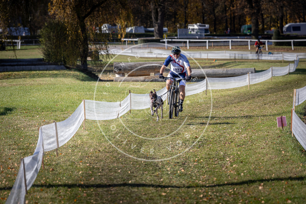 CaniXpix_DV3A5745 | Hundefotografie, Tierfotograf, Pfotenfotografie, Fotoshooting Hund, Hunde Portrait, Hundesport, Hundeportraits, Heideshooting, Hunde, Sportfotograf, Hundefotograf, Turnierhundsport, THS,  - Realisiert mit Pictrs.com