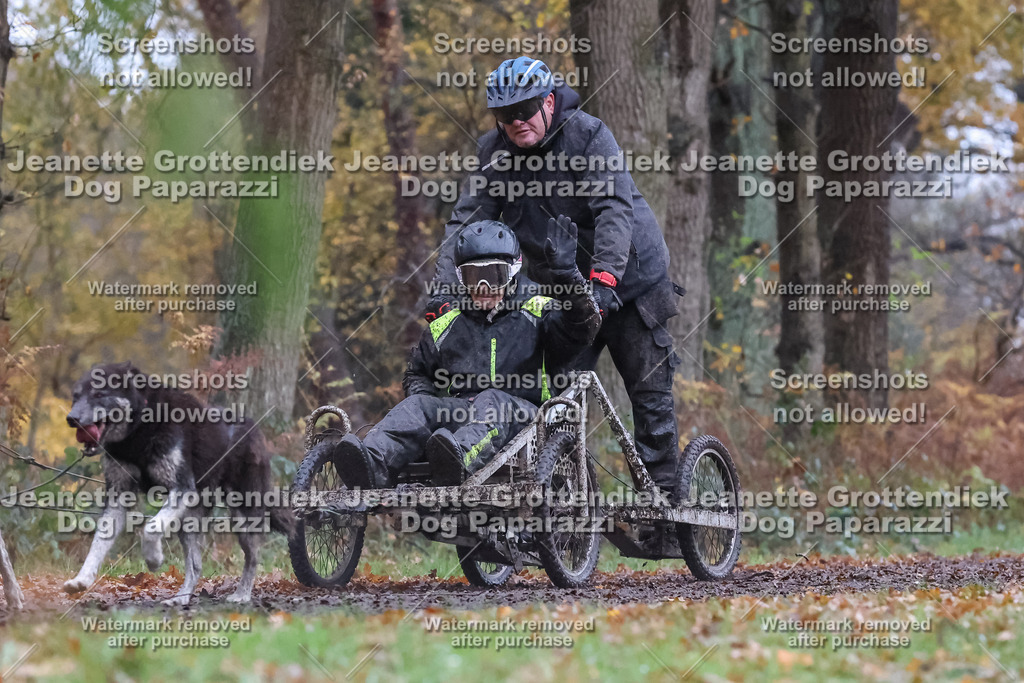 Dog Paparazzi - Ströhen 25-3 | Dog Paparazzi Jeanette Grottendiek Fotografie & Videografie - Realisiert mit Pictrs.com