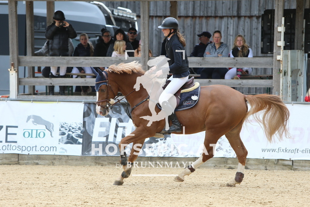 DL2Q7065 | Willkommen bei Brunnmayr - Design & Fotografie – Ihrem Spezialisten für Reitturniere und Pferdeveranstaltungen in Oberösterreich, Salzburg und Bayern! Seit über 17 Jahren sind wir leidenschaftlich dabei.