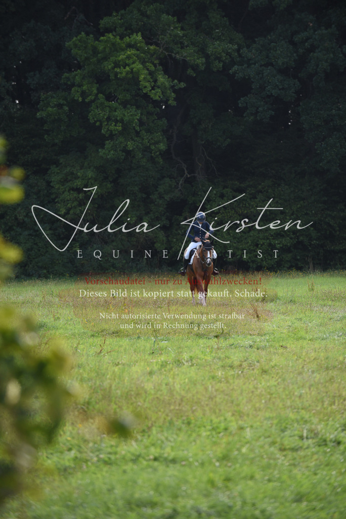 DSC_8532 | Pferde- und Turnierfotografie in Westsachsen. Pferdeportraits, Auftragszeichnungen und intuitive Kunst.