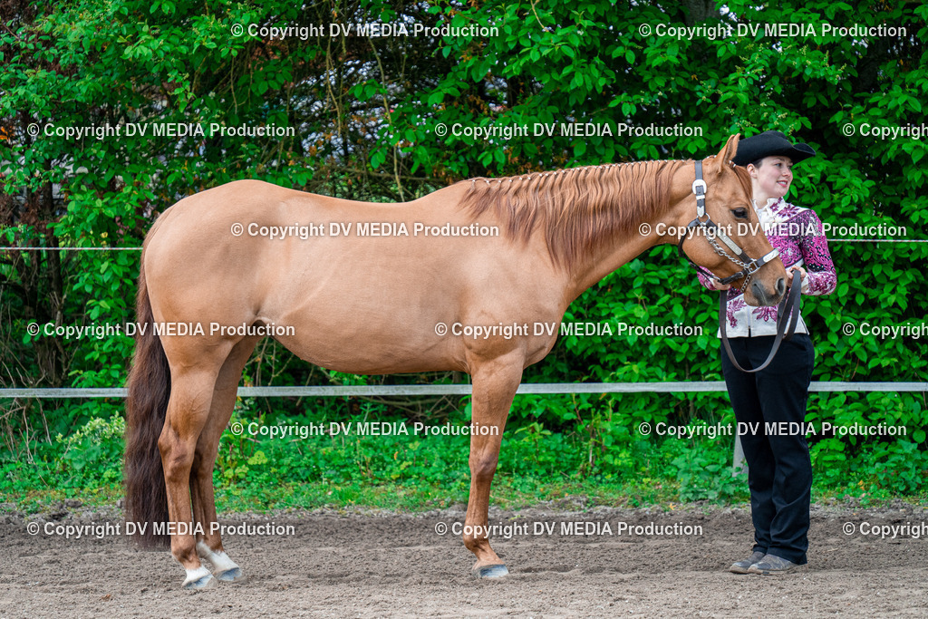 BA300256 | dv-media-shop - Realisiert mit Pictrs.com