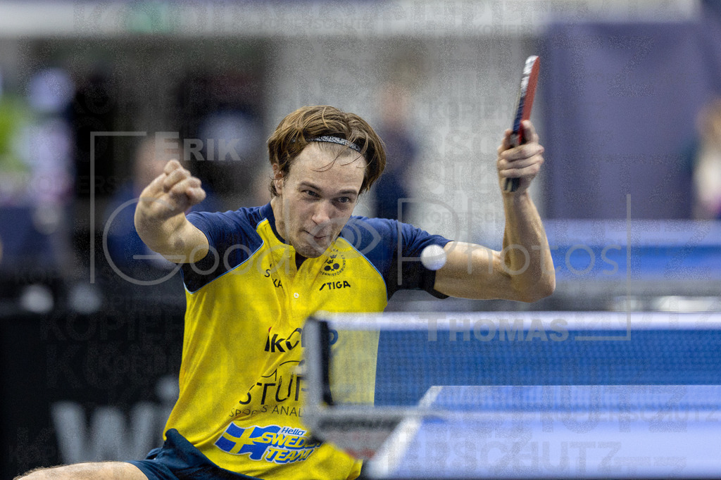 European_Championships_2024-10-15_042 | good-photos - Realisiert mit Pictrs.com