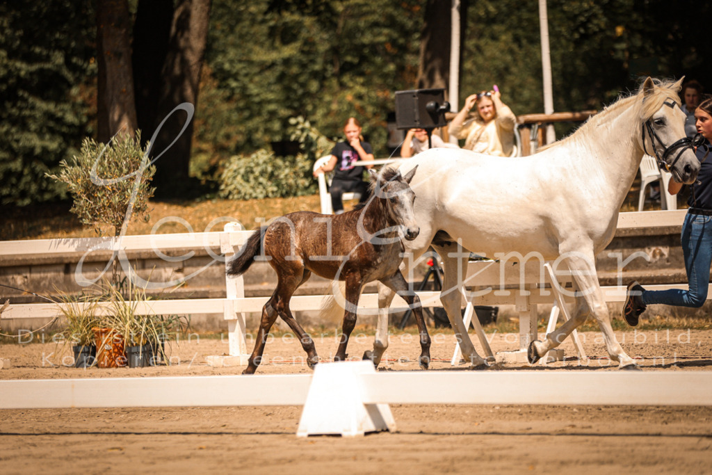 02.DoSR00175 | Leoni Ertmer Photography - Realisiert mit Pictrs.com