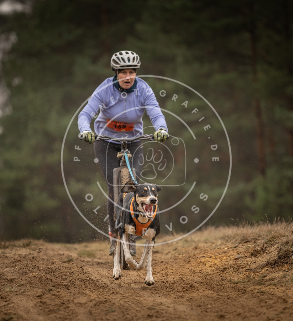 Pfotenfotografie_DV3A4446 | Hundefotografie, Tierfotograf, Pfotenfotografie, Fotoshooting Hund, Hunde Portrait, Hundesport, Hundeportraits, Heideshooting, Hunde, Sportfotograf, Hundefotograf, Turnierhundsport, THS,  - Realisiert mit Pictrs.com