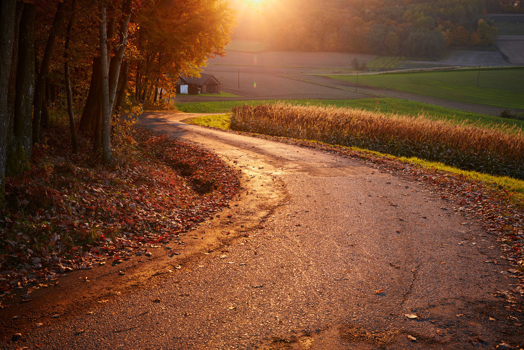 Weg durch herbstliche Landschaft | Zahling, Austria - October 31, 2015: Weg durch herbstliche Landschaft. - Realisiert mit Pictrs.com