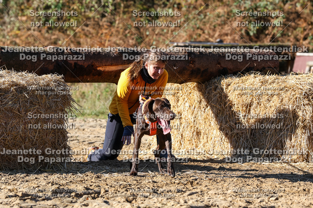 Dog Paparazzi - Strongdog 10-25-2288 | Dog Paparazzi Jeanette Grottendiek Fotografie & Videografie - Realisiert mit Pictrs.com