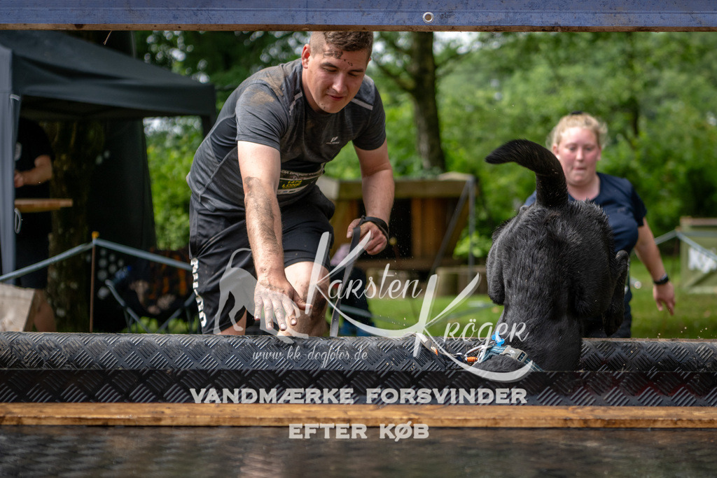 1126_ZZ94380 | kk-dogfotos