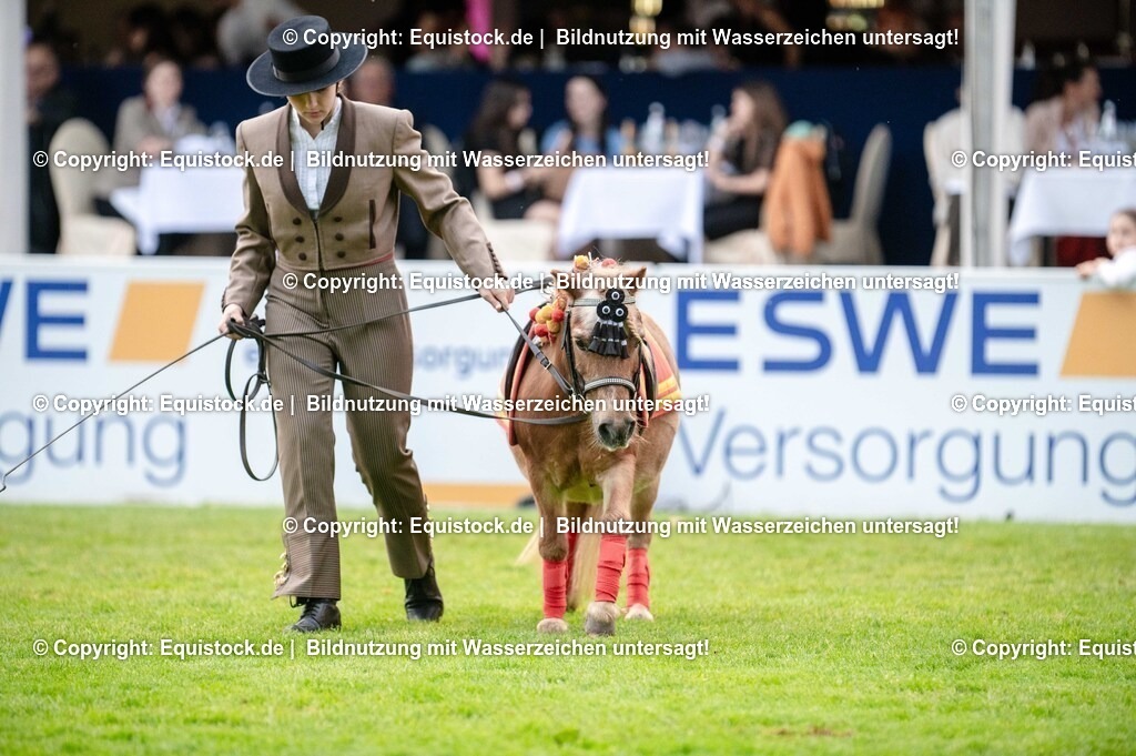 20250606_Lange-Pferdenacht_0648 | Foto: Thomas Hartig