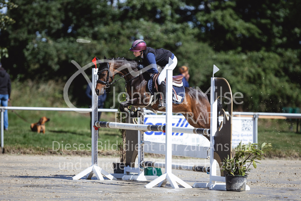 240615_CoesfeldLette_Stil-A-236 | Deine schönsten Turniermomente als professionelle Fotos! Entdecke hochwertige Pferdesport-Fotografie im Online-Shop. Jetzt Fotos finden & bestellen!
