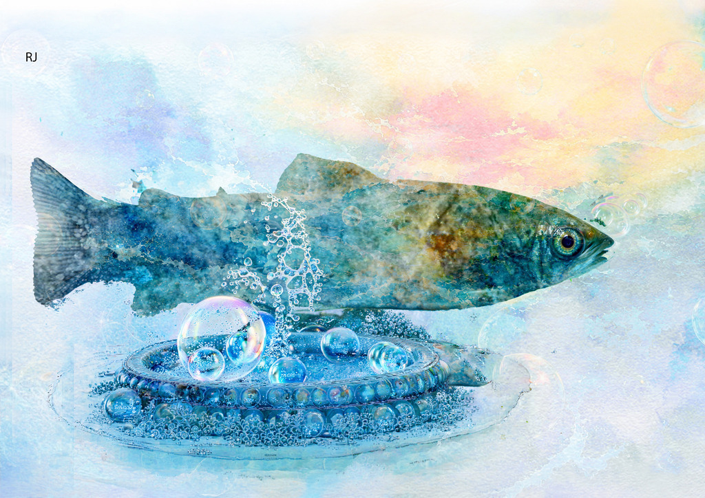 Fisch | raphyshop. - Realisiert mit Pictrs.com