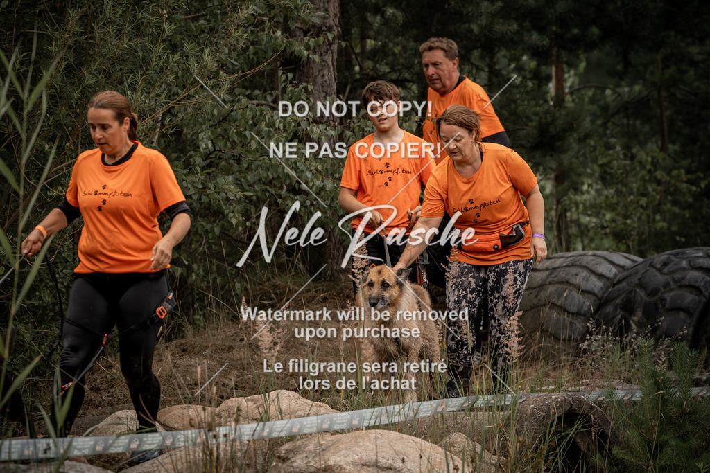 nelerasche_sa0800-1000_57 | nelerasche