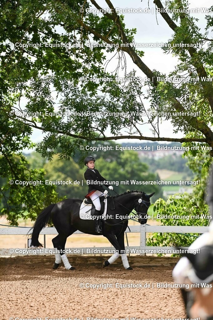 20230716_10-1_Reiter-WB Schritt - Trab - Galopp_0154 | equistock