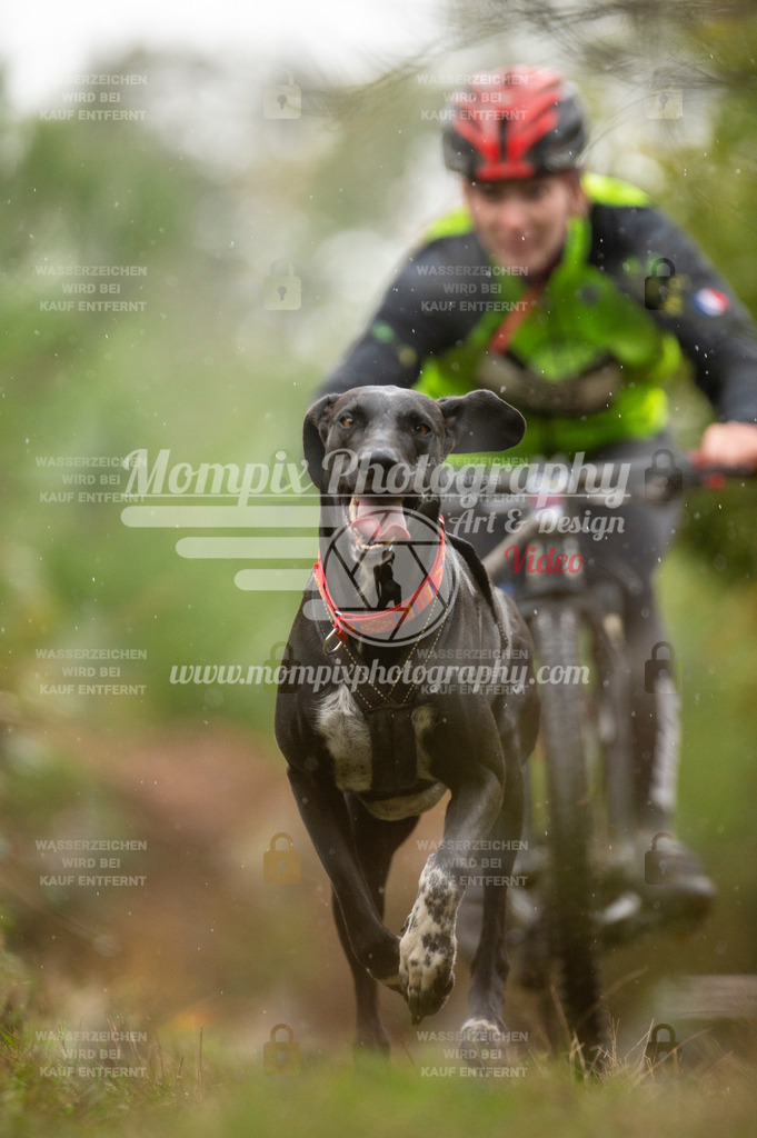 TSB_2023_E5_Bike-40 | PayLife
