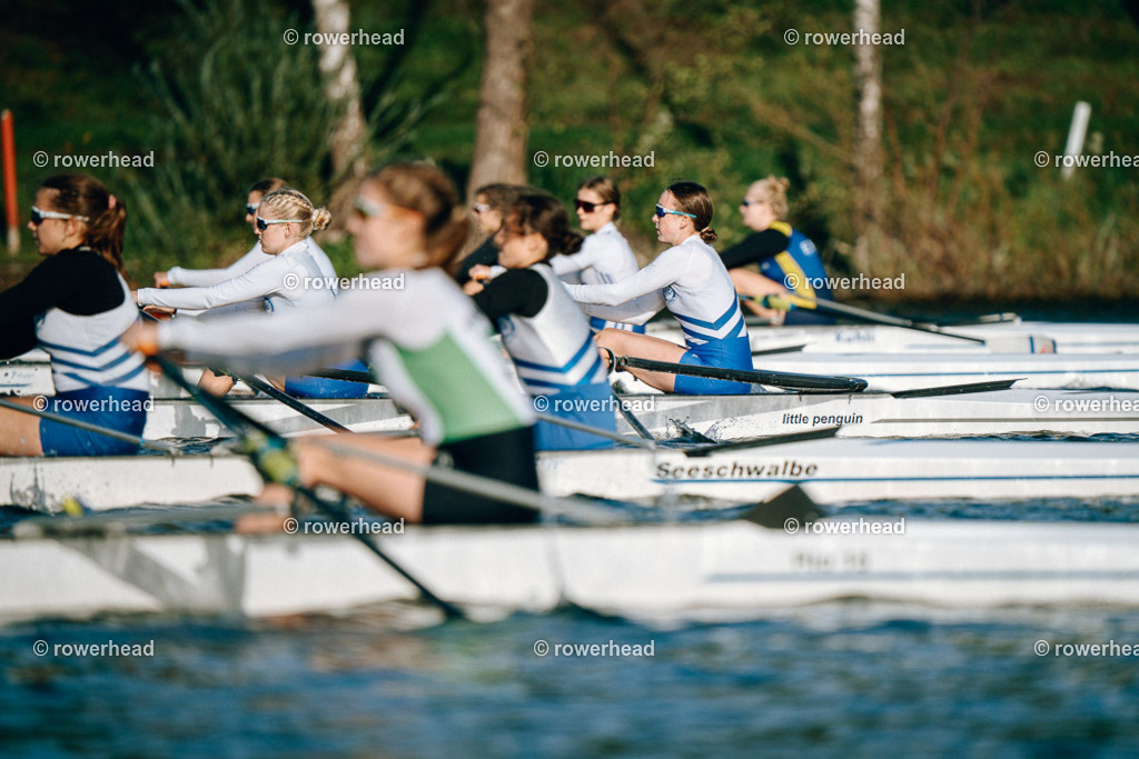 20251004_rowerhead_R014_S0381_DSC04716 | rowerhead - Realisiert mit Pictrs.com