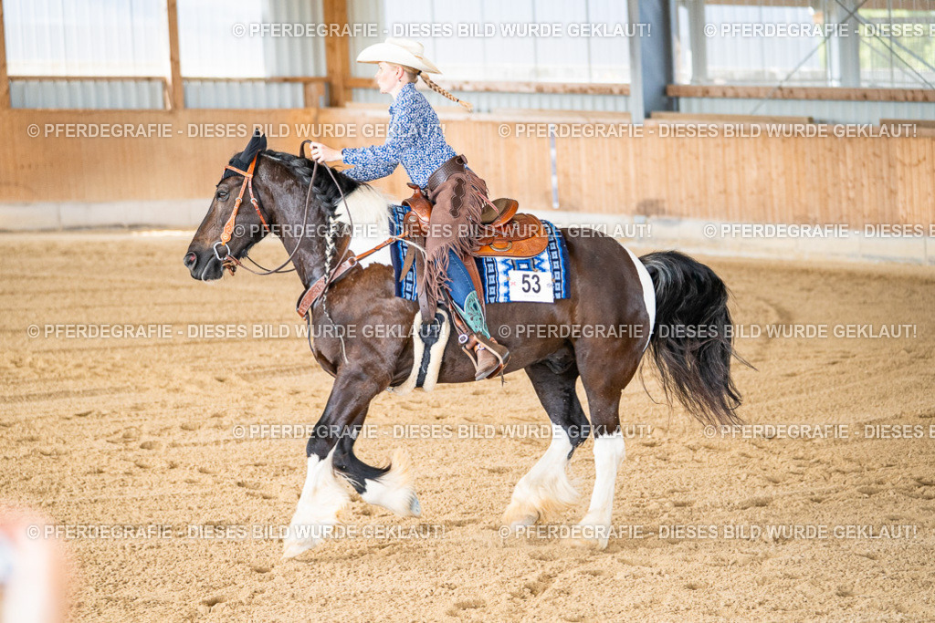 DSC02348 | Pferdegrafie