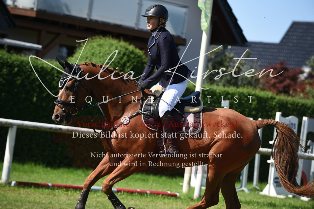 DSC_9212 | Pferde- und Turnierfotografie in Westsachsen. Pferdeportraits, Auftragszeichnungen und intuitive Kunst.