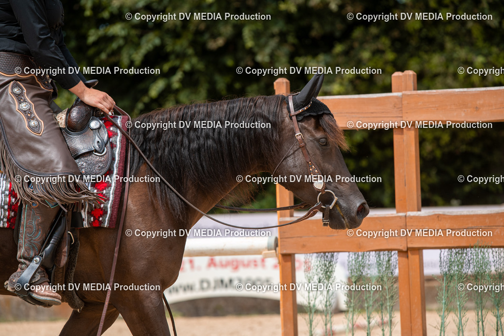 EWP_6460 | dv-media-shop - Realisiert mit Pictrs.com